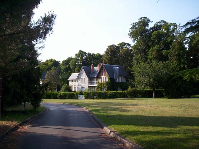 100 5983.JPG - 15