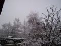 100_4824.JPG